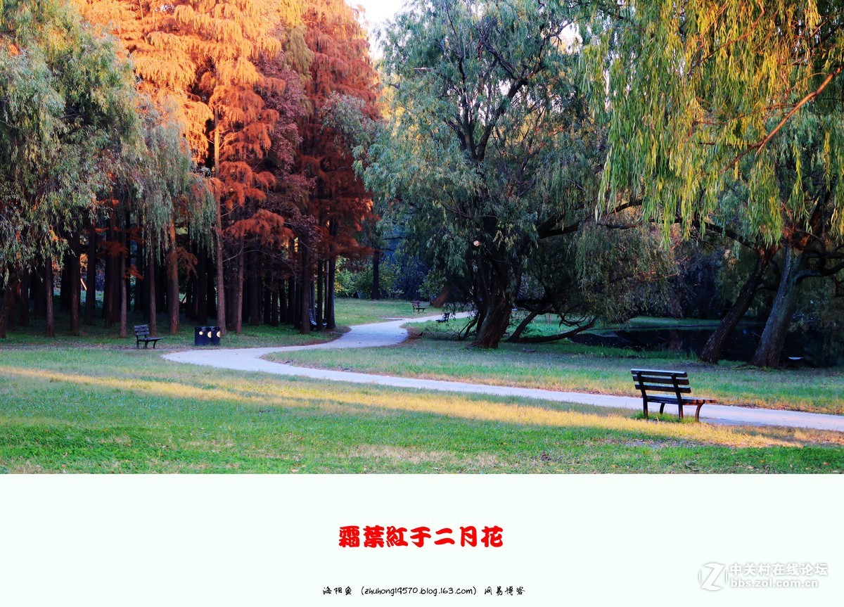 双11我新购了佳能（Canon）PowerShot G7 X Mark II 数码相机 ,看到上海共青森林公