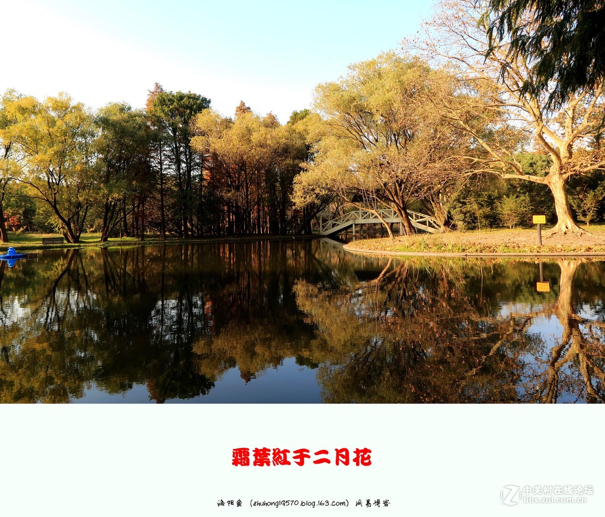 双11我新购了佳能（Canon）PowerShot G7 X Mark II 数码相机 ,看到上海共青森林公