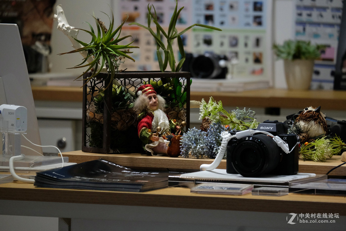 富士xc50-230廉价新头试镜 全部使用230mm测试 有图有真相