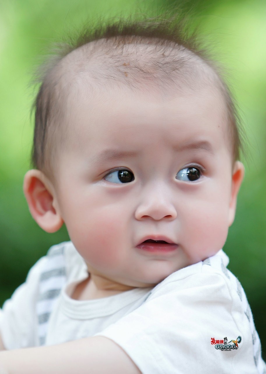 #版主坐堂#2018年6月份《承德》优秀作品选辑