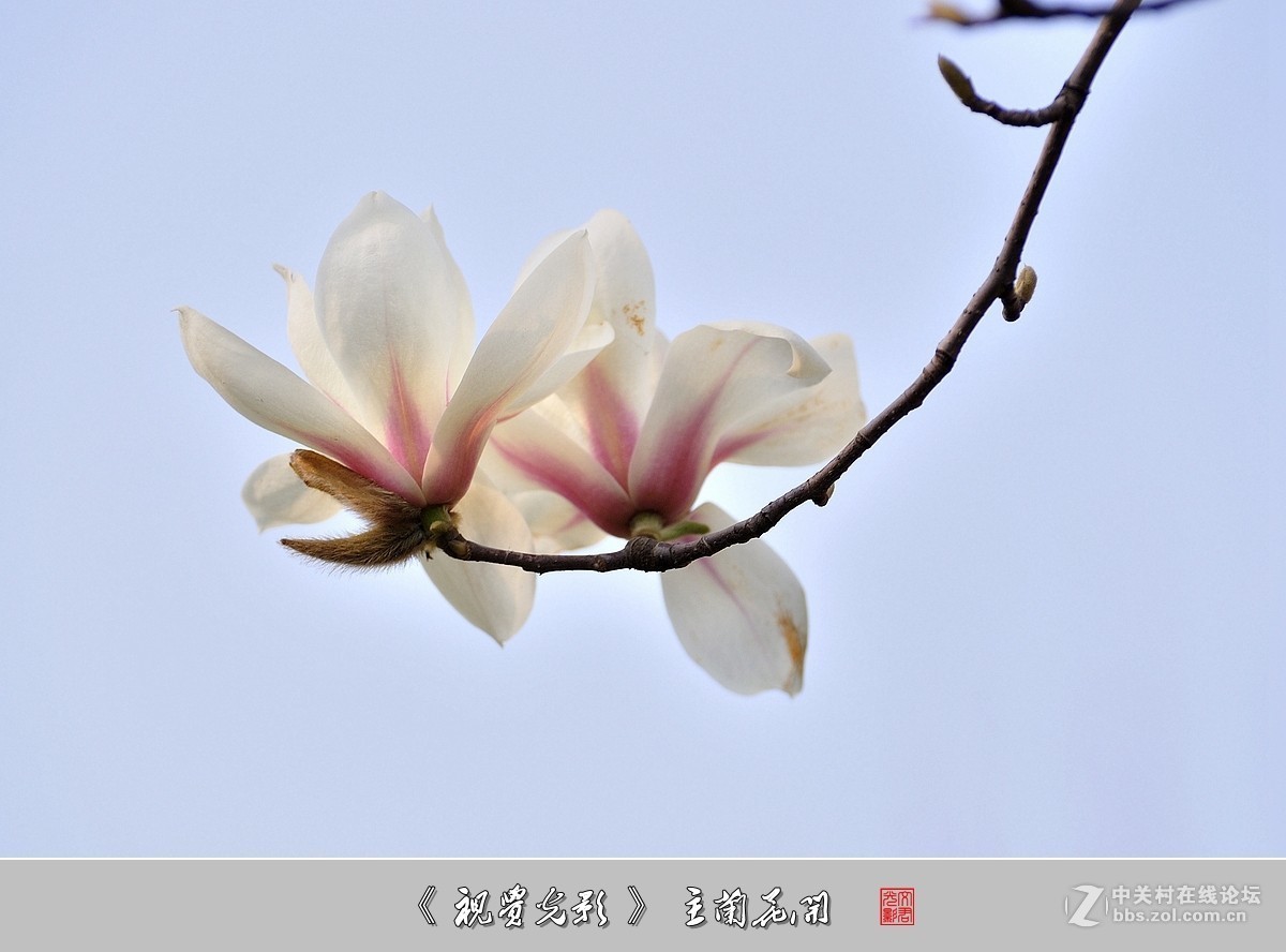 #版主坐堂#2018年6月份《承德》优秀作品选辑