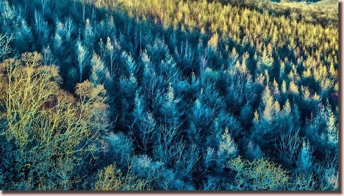 18.1209冬日英杰山景