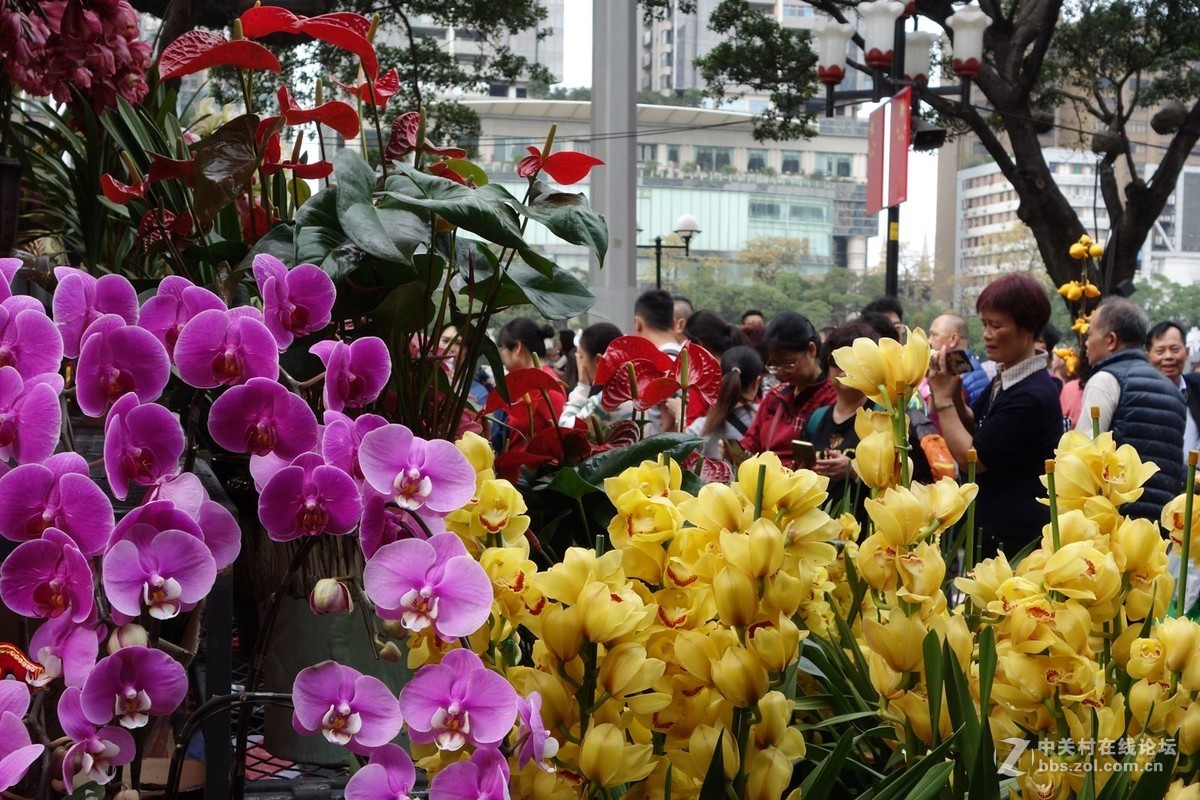 廣府年味2019年廣州迎春花市一