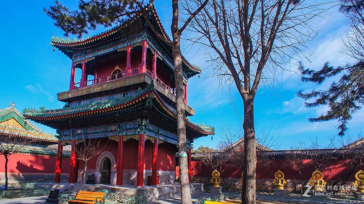 E16 2.8+ECU1随拍，大家新年好！