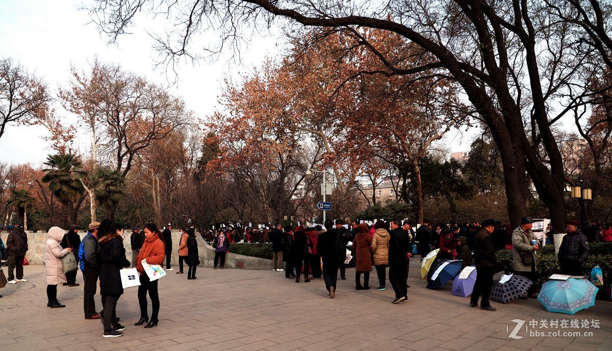 西安革命公园随拍《1》