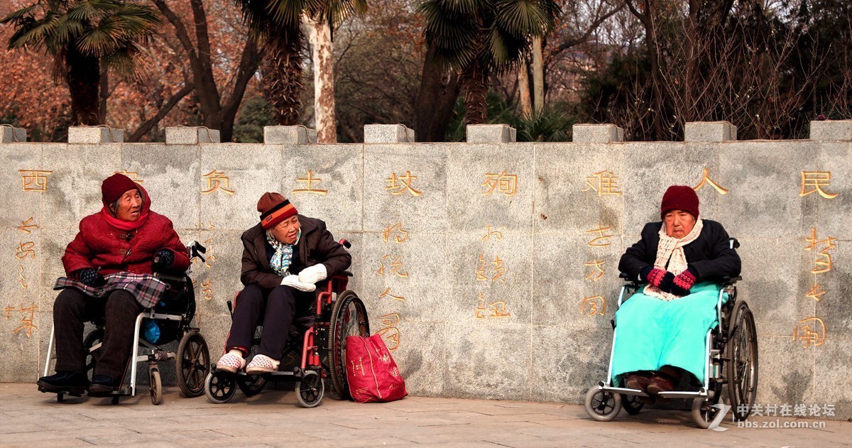 西安革命公园随拍《1》