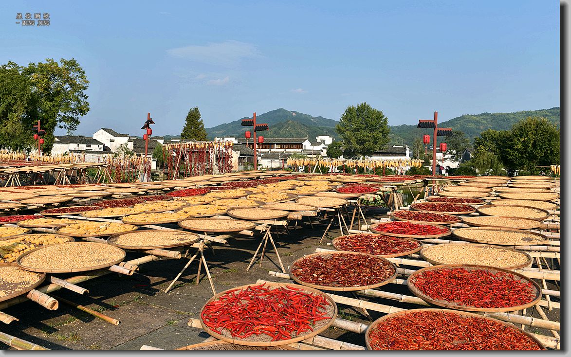 #版主坐堂# 尼康镜头星空(中国)2019年12月部分优秀作品欣赏