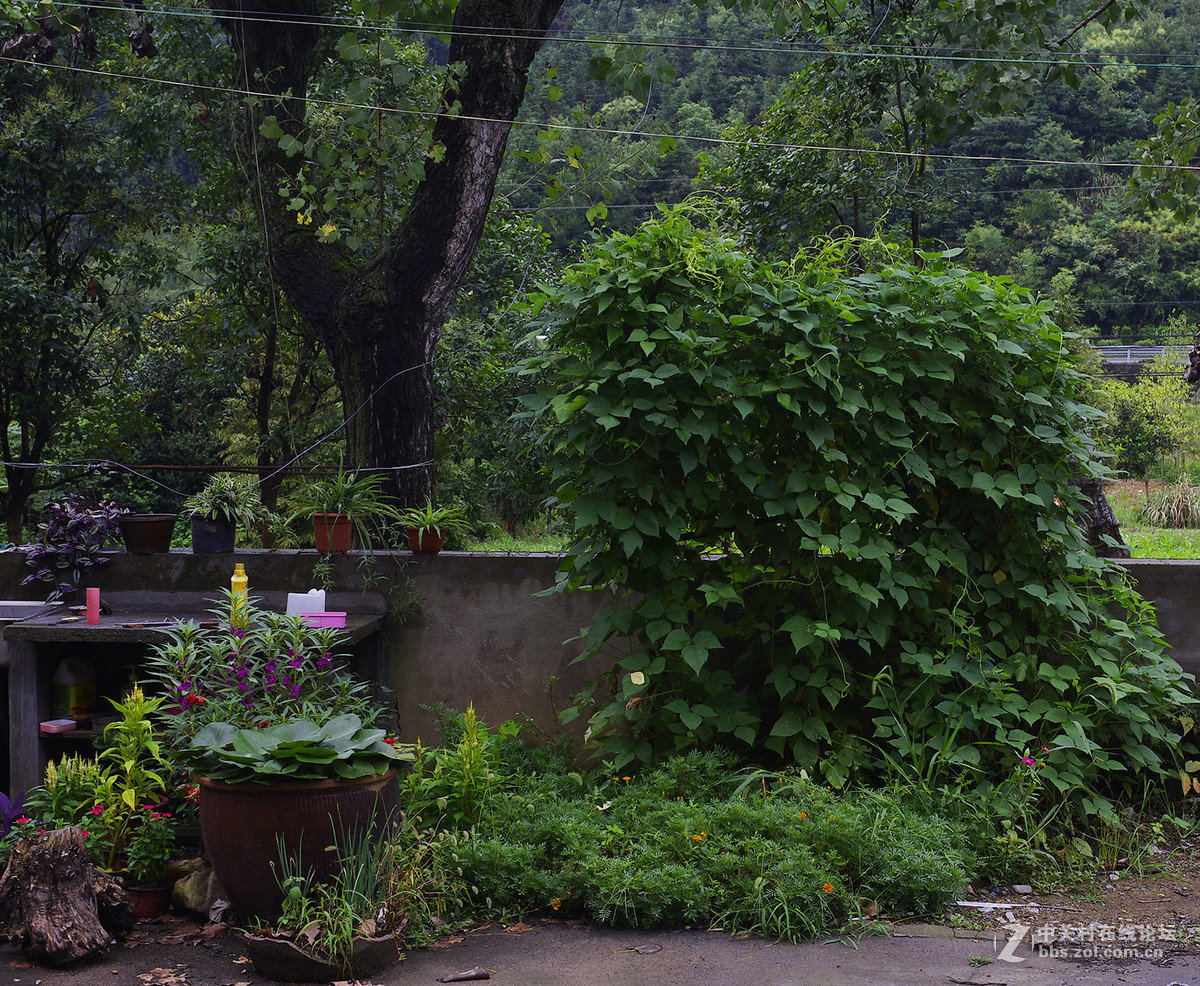 宾得K-X，定焦镜头DA35mm，f2.4，出来的图片不清晰，有点雾蒙蒙的，求指导