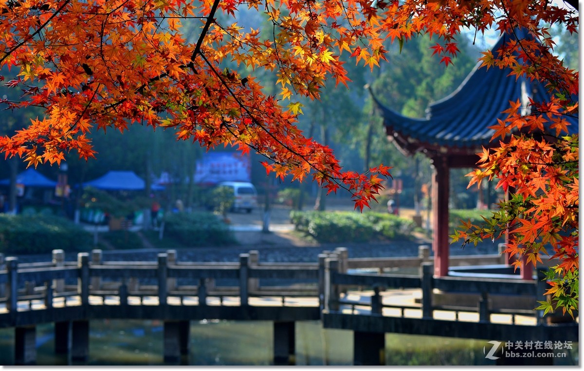 再拍金陵四十八景栖霞山风景