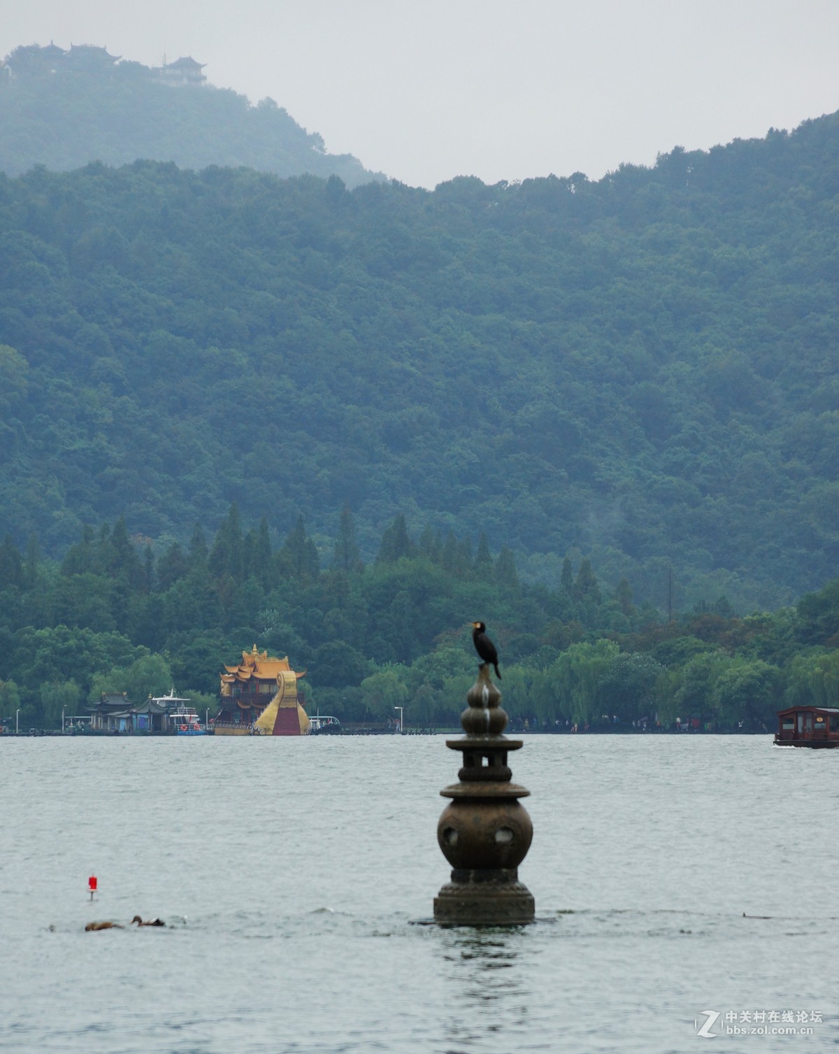 雨中游西湖之三潭印月