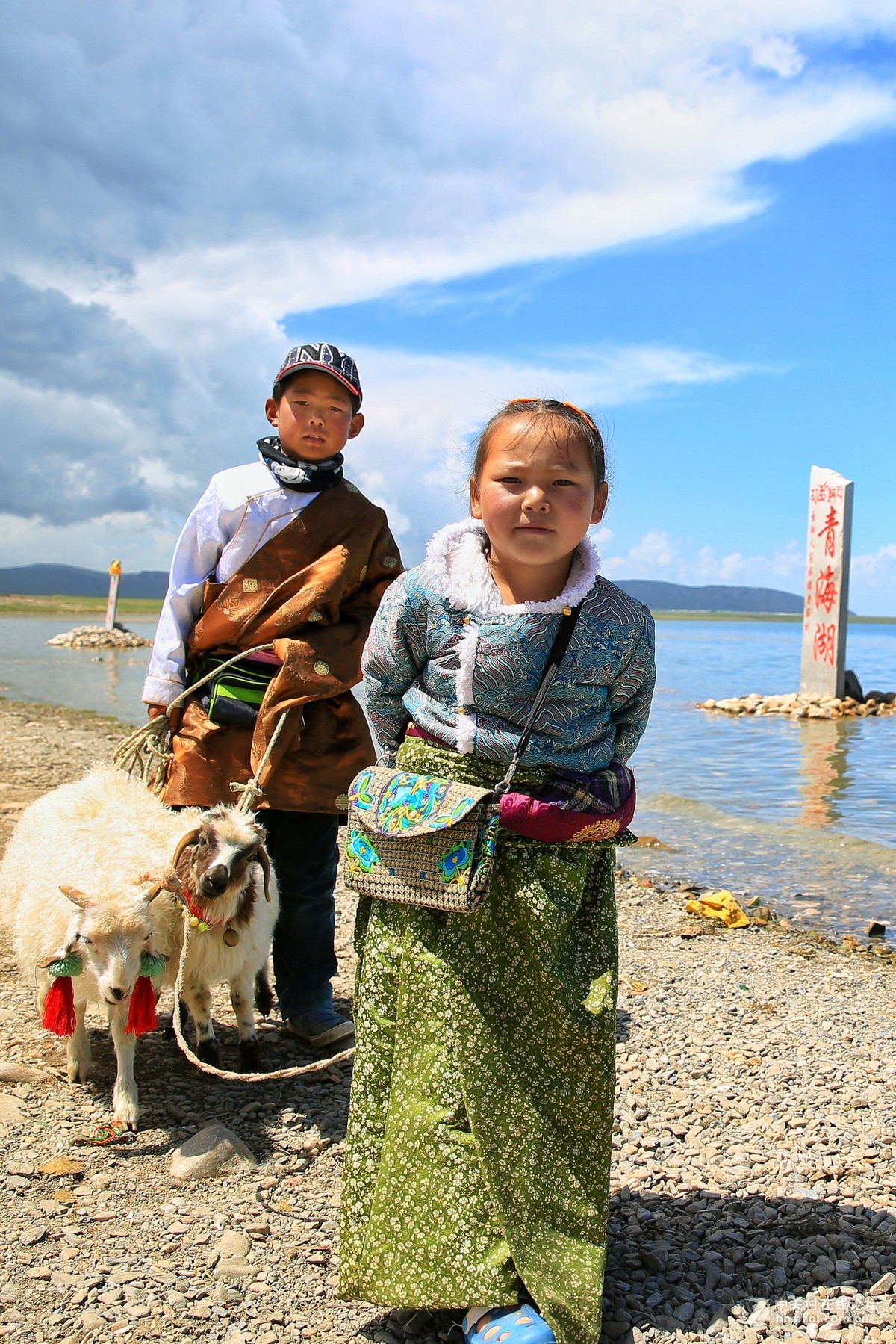 青海湖畔的牧羊童