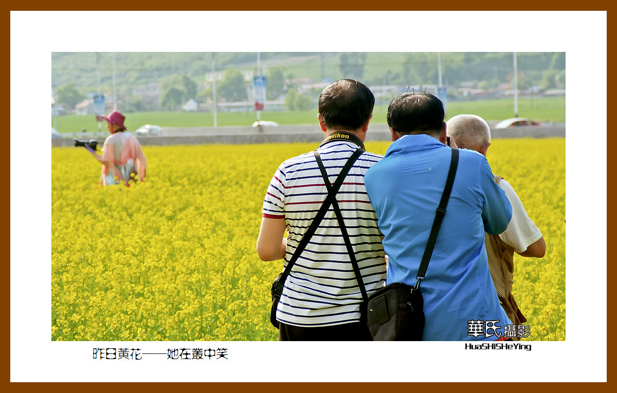 美色辽宁——昨日黄花，她在丛中笑之四（辽阳弓长岭汤河）