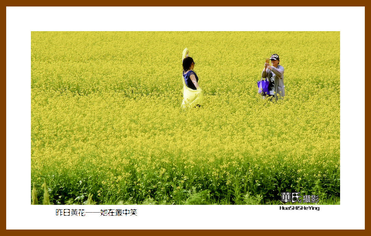 美色辽宁——昨日黄花，她在丛中笑之四（辽阳弓长岭汤河）
