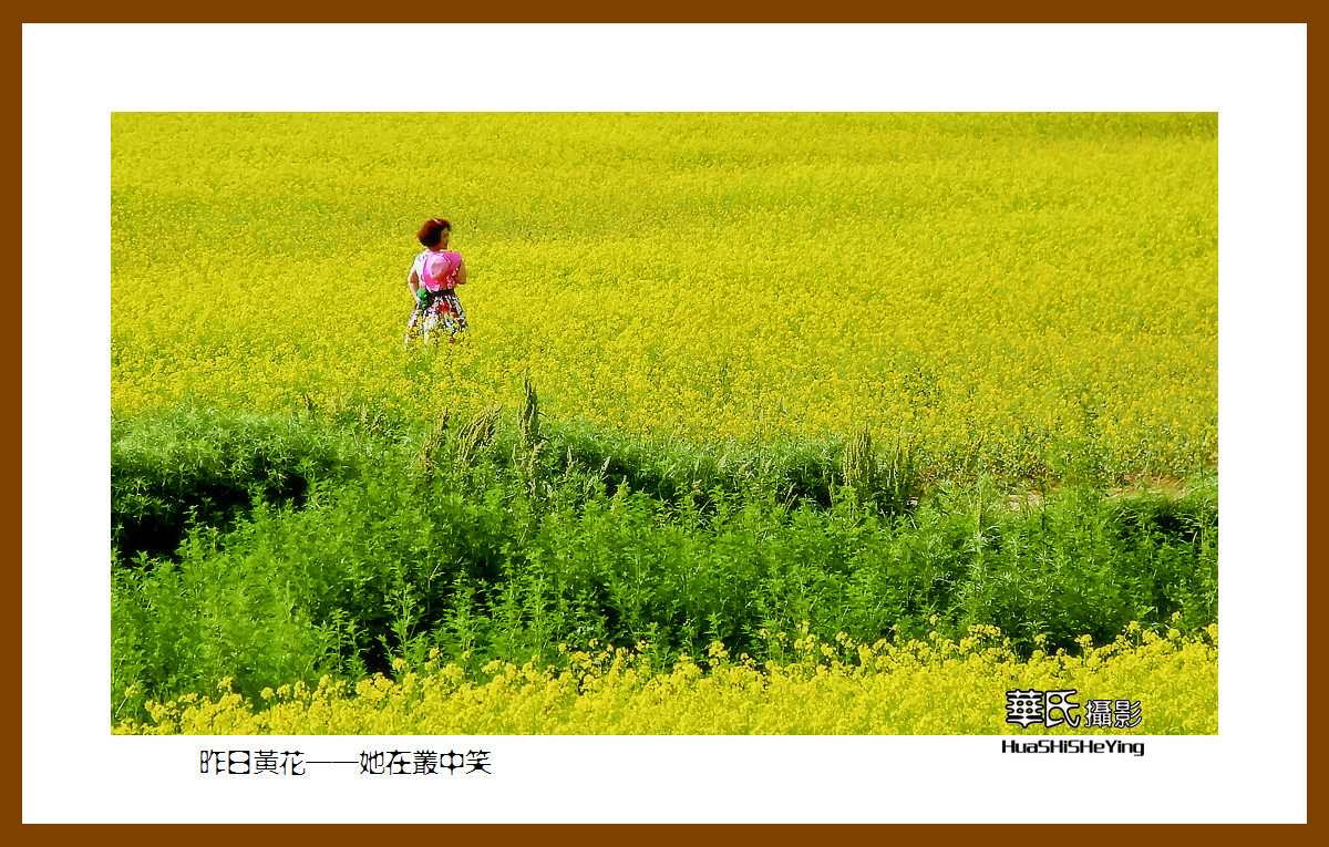 美色辽宁——昨日黄花，她在丛中笑之四（辽阳弓长岭汤河）