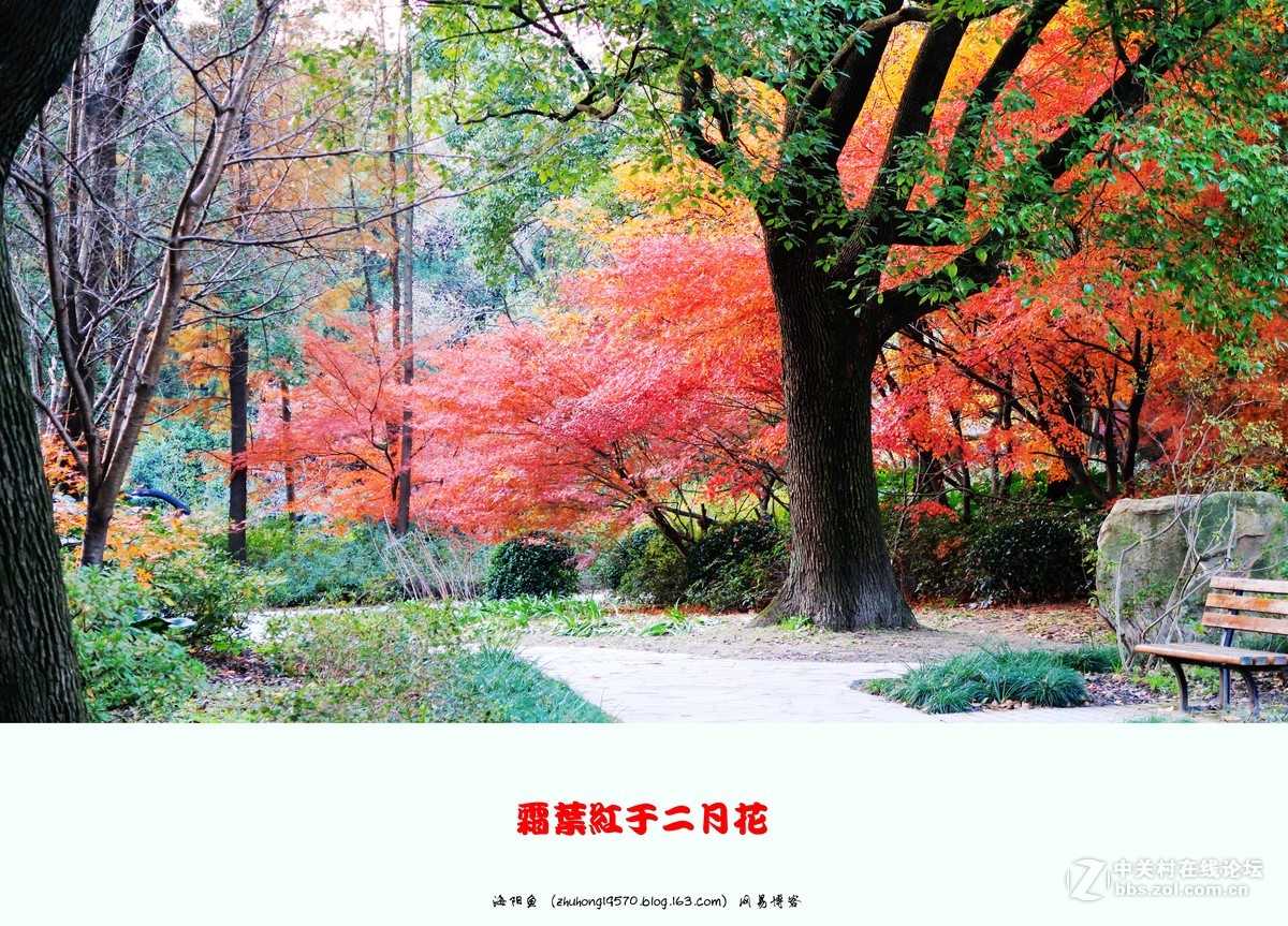 双11我新购了佳能（Canon）PowerShot G7 X Mark II 数码相机 ,看到上海共青森林公