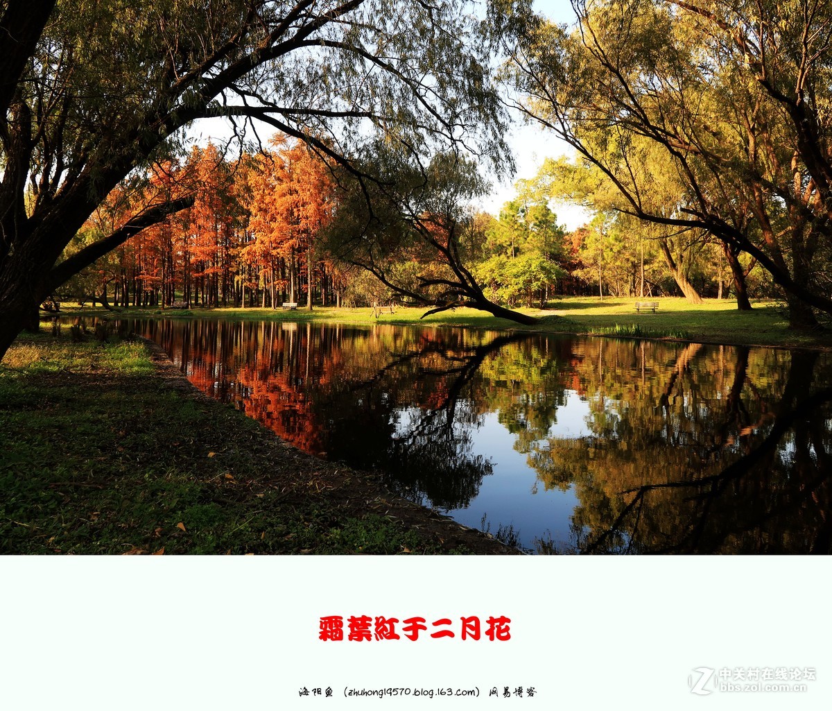 双11我新购了佳能（Canon）PowerShot G7 X Mark II 数码相机 ,看到上海共青森林公