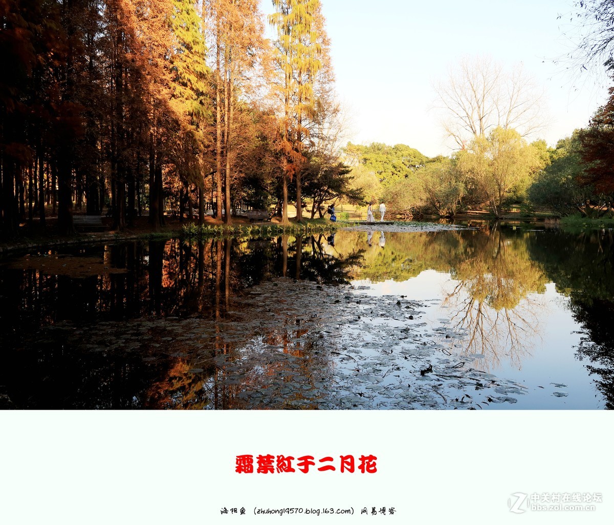 双11我新购了佳能（Canon）PowerShot G7 X Mark II 数码相机 ,看到上海共青森林公