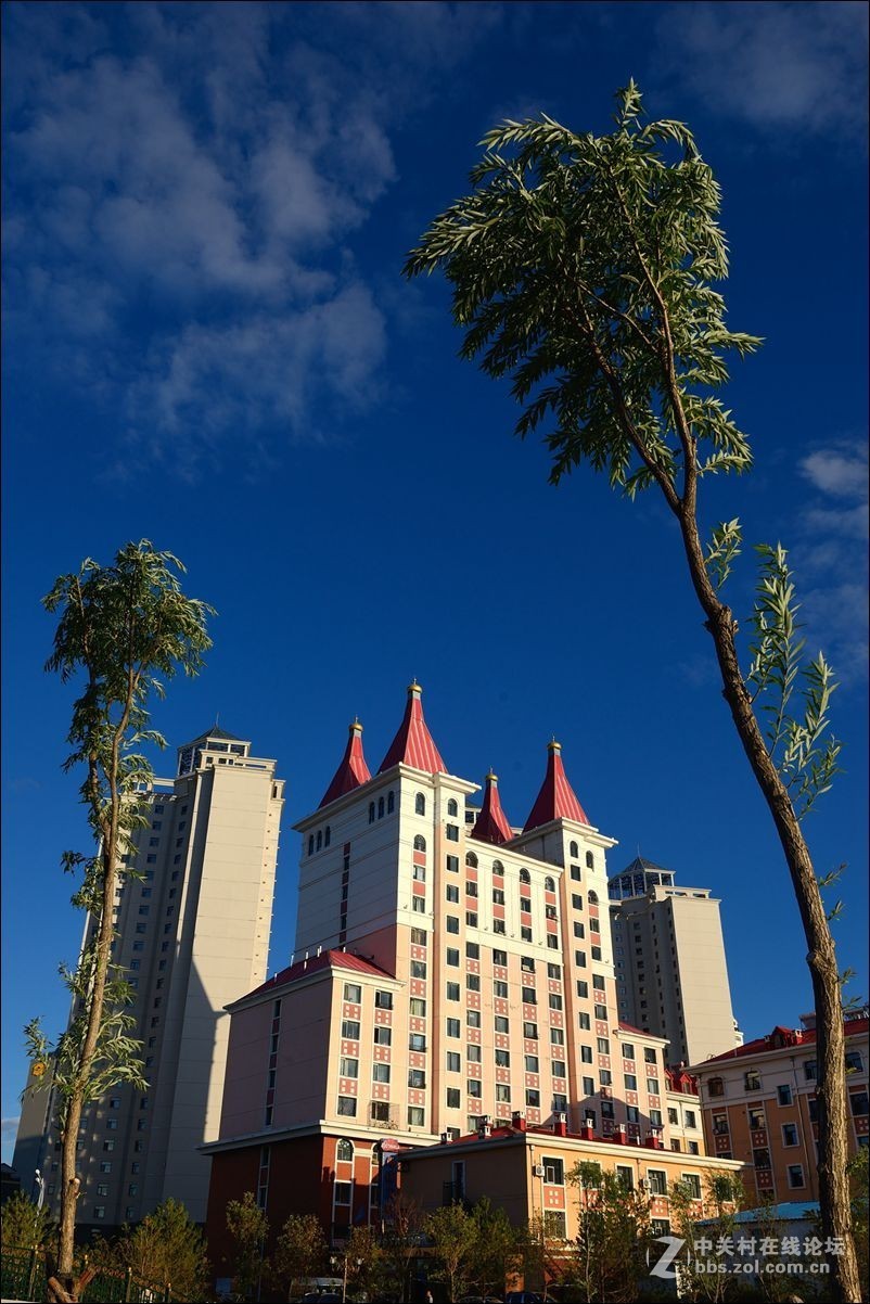 休闲随拍（365）