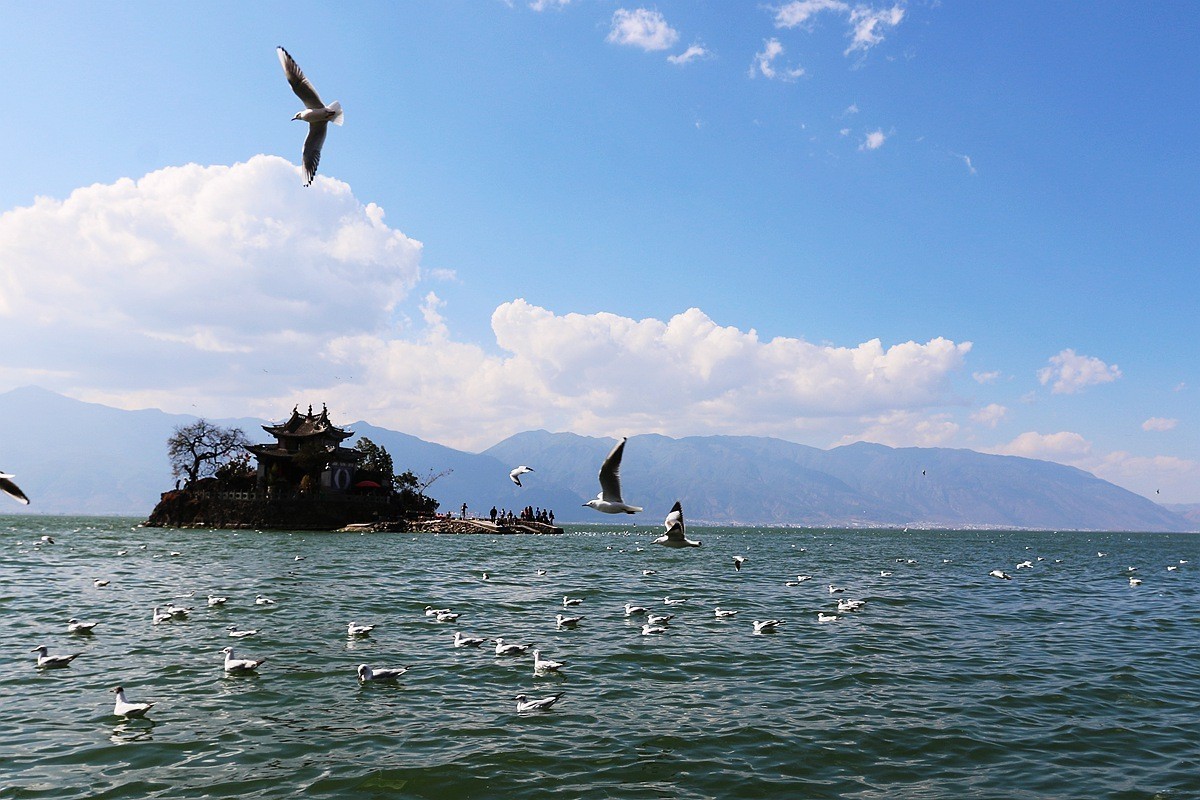 #版主坐堂#2018年6月份《承德》优秀作品选辑