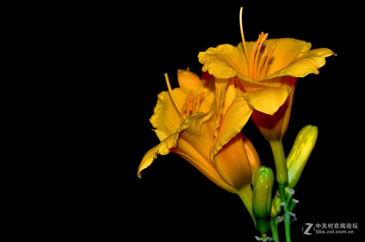 #版主坐堂#2018年6月份《承德》优秀作品选辑