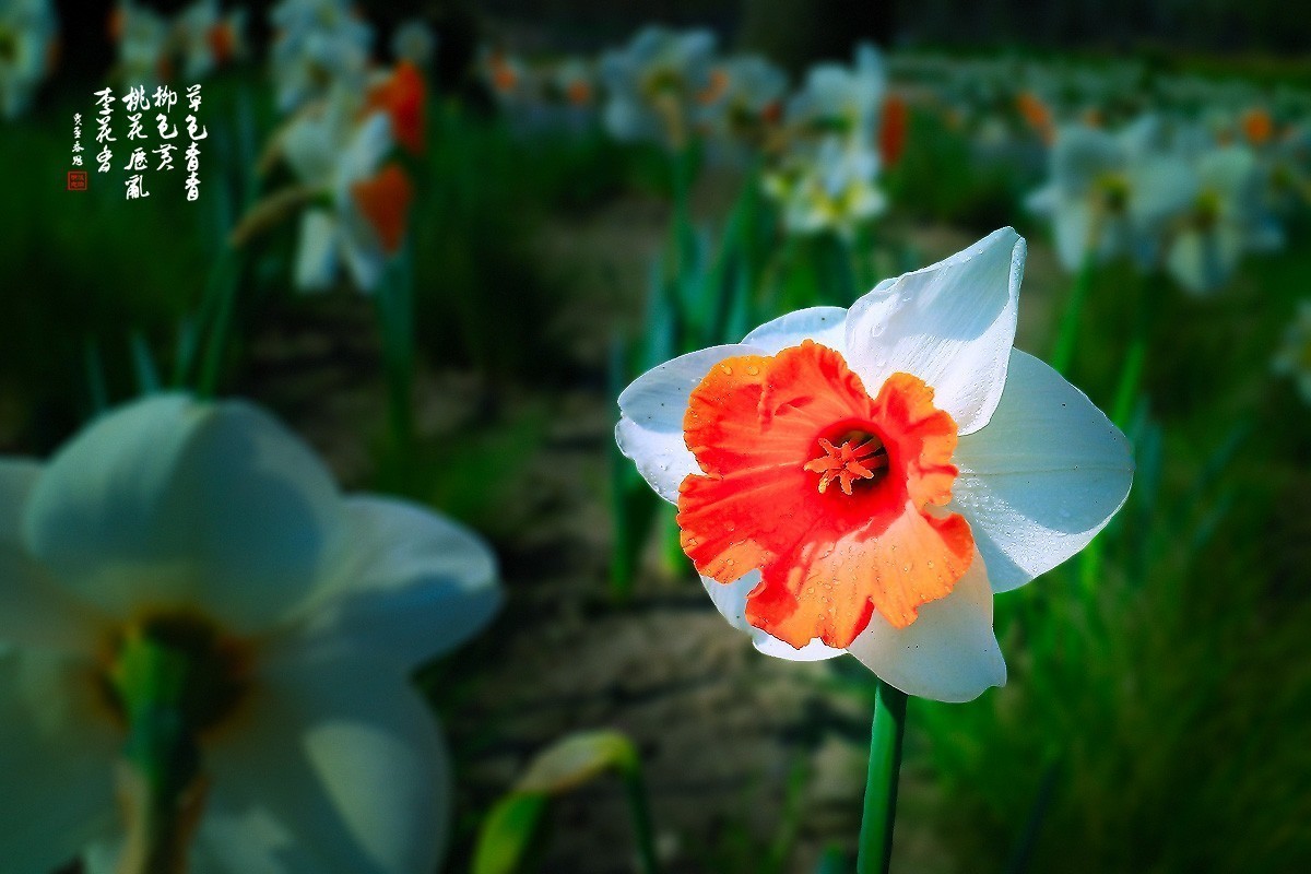 #版主坐堂#2018年6月份《承德》优秀作品选辑