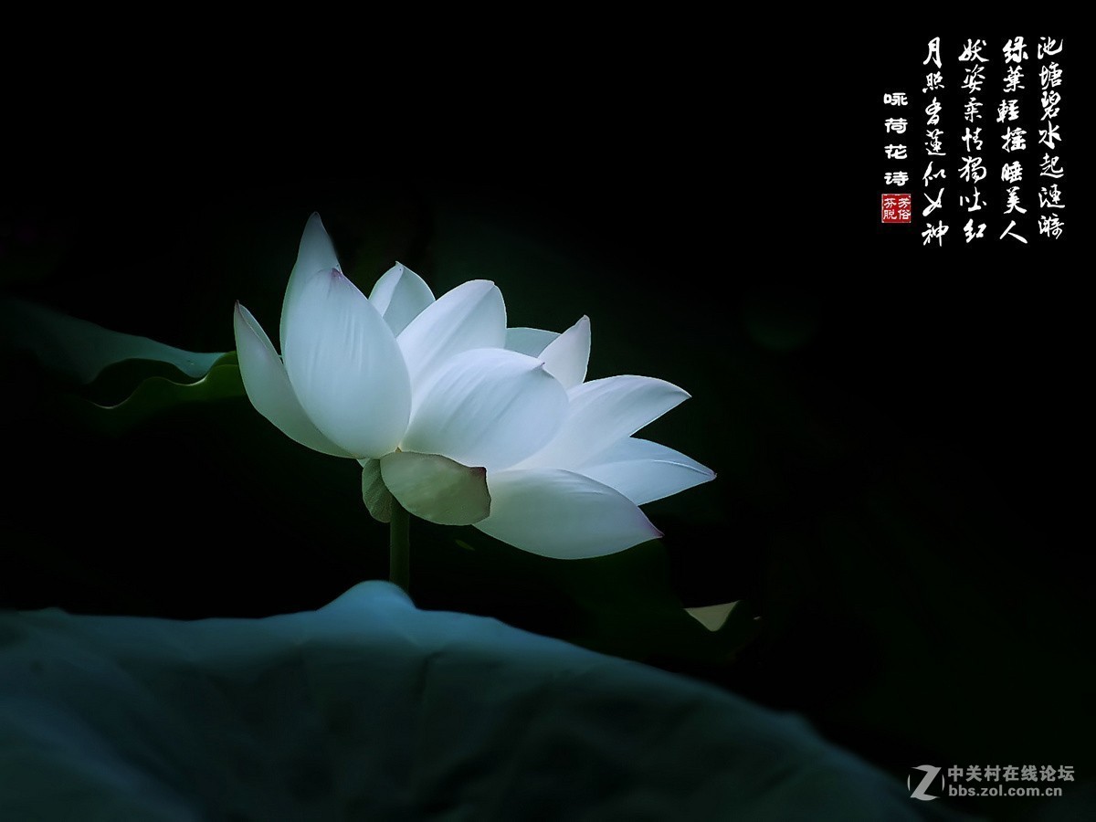 #版主坐堂#2018年6月份《承德》优秀作品选辑