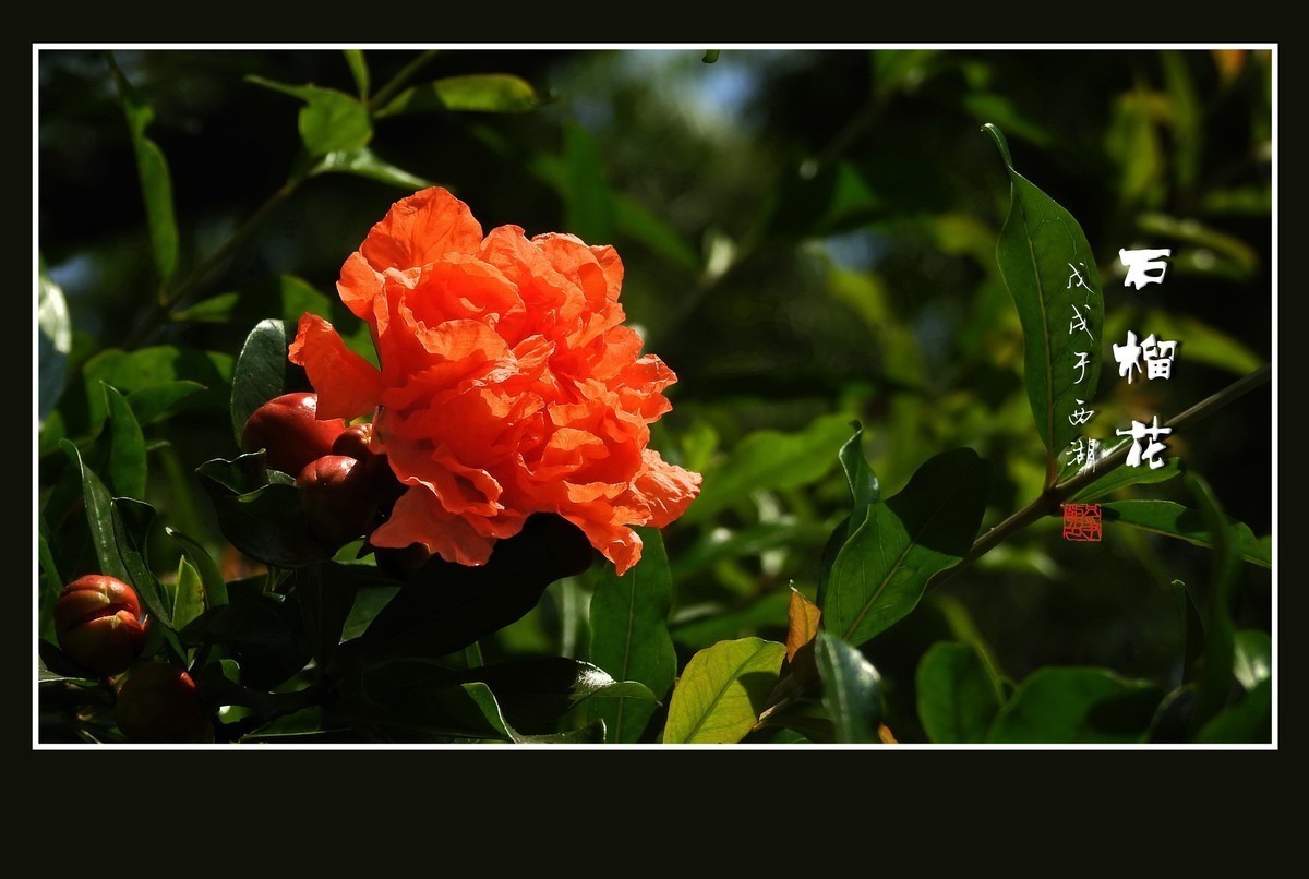 #版主坐堂#2018年6月份《承德》优秀作品选辑