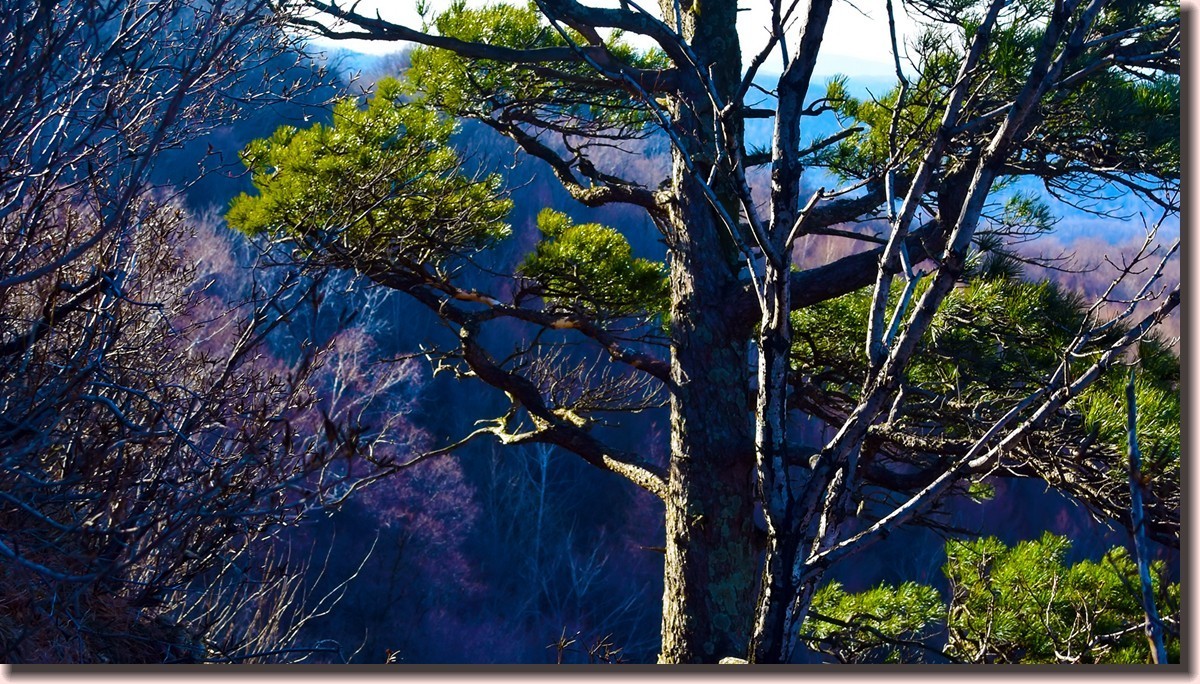 18.1209冬日英杰山景