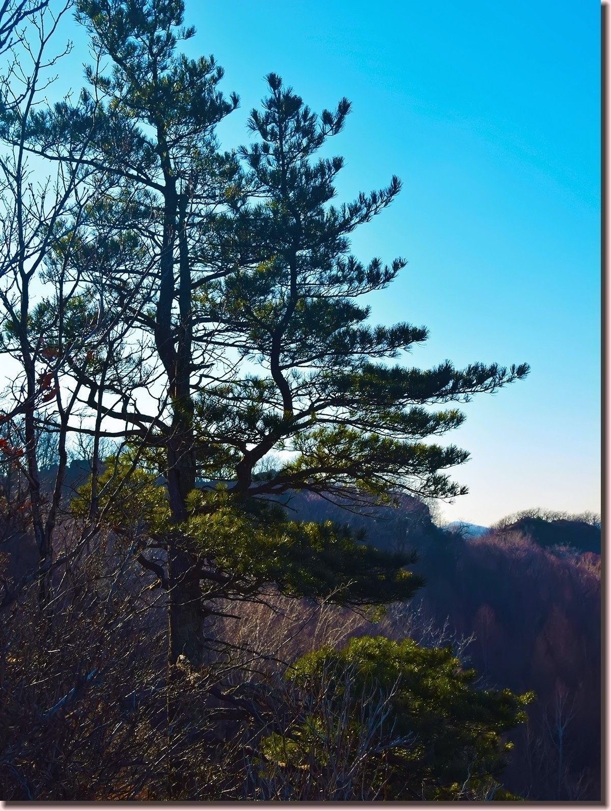 18.1209冬日英杰山景