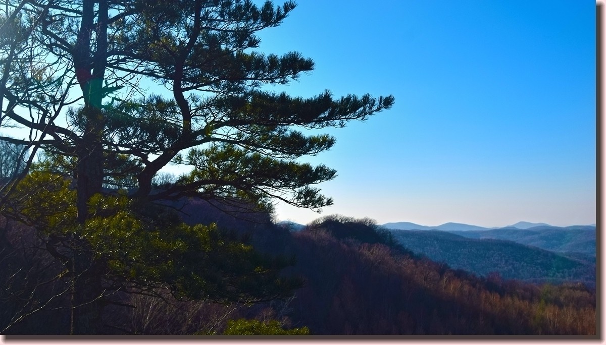 18.1209冬日英杰山景
