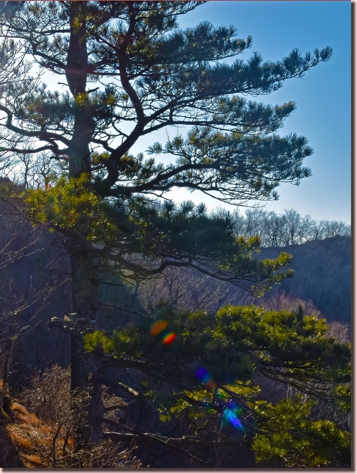 18.1209冬日英杰山景