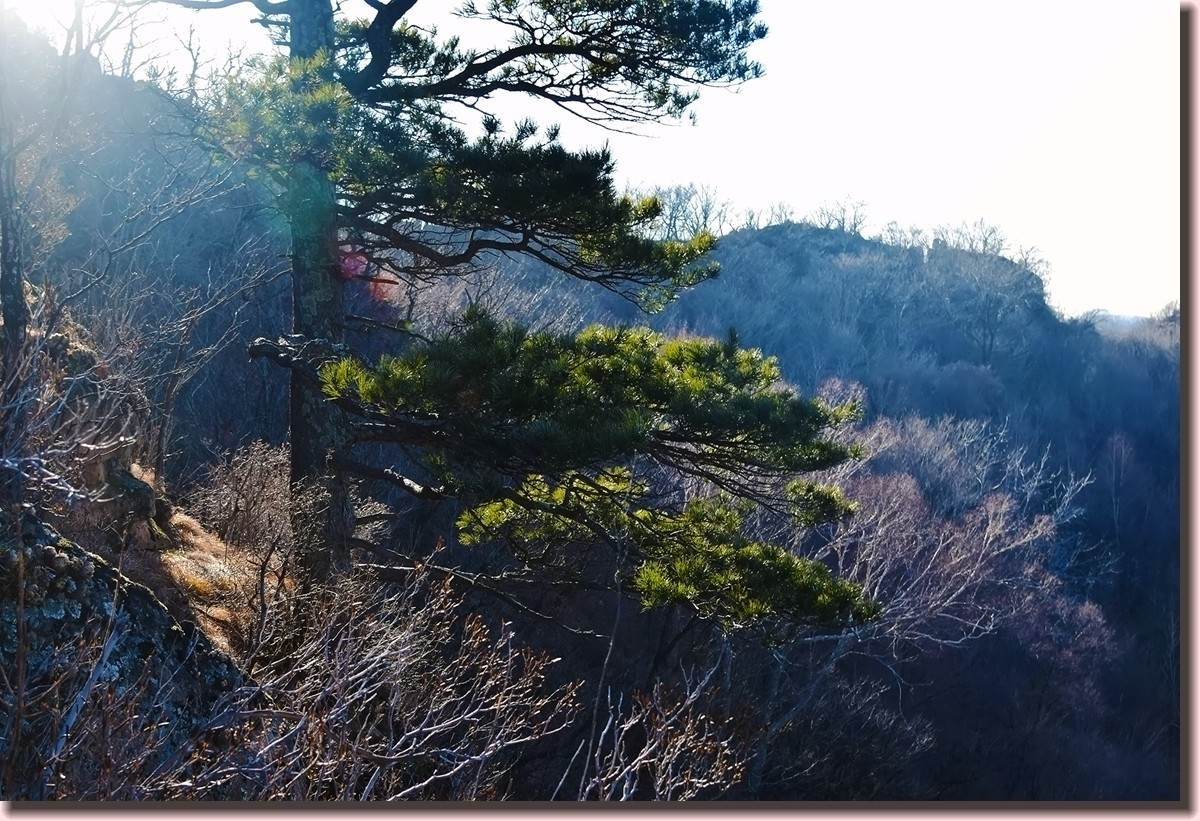 18.1209冬日英杰山景