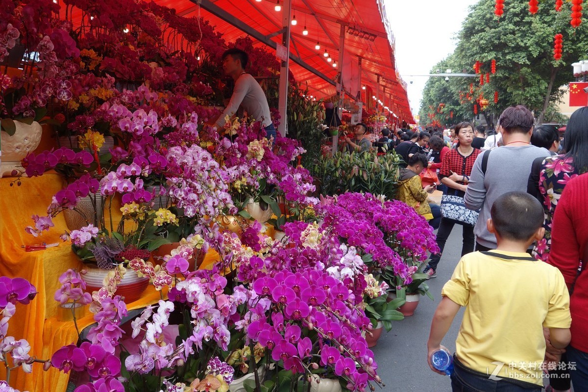 广府年味2019年广州迎春花市一