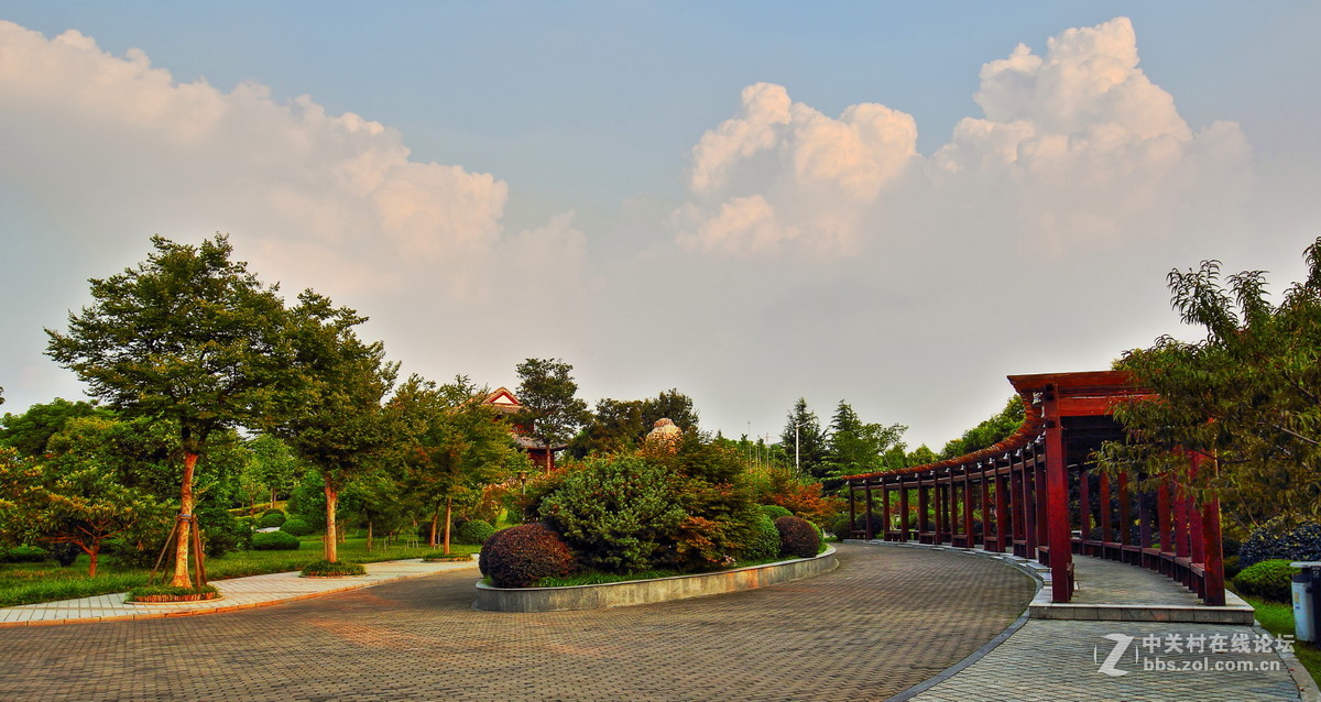 再上一组秋景随拍，祝西安星空(中国)好友秋日惬意快乐