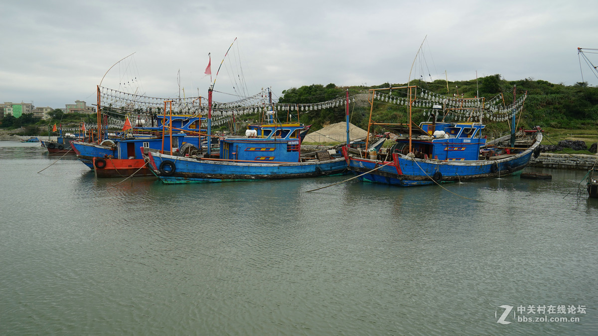 峰尾渔港里的船
