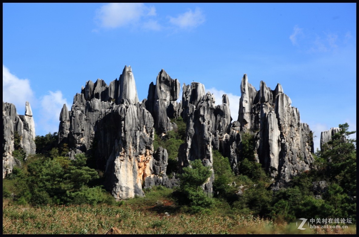 不一样的石林--2