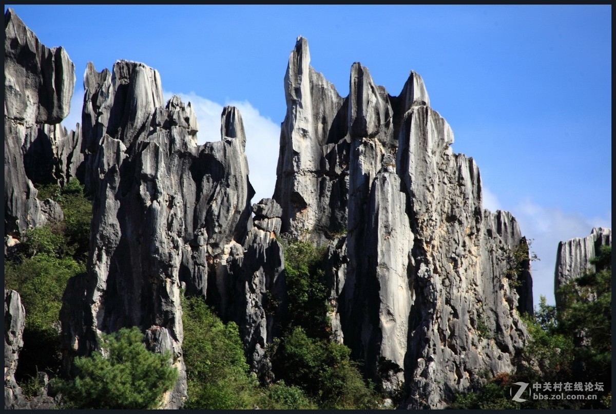 不一样的石林--2