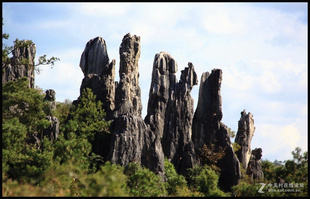 不一样的石林--2