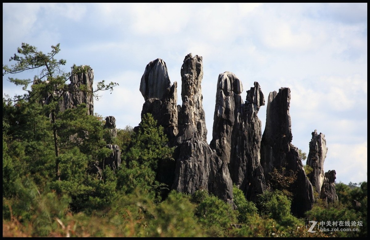 不一样的石林--2
