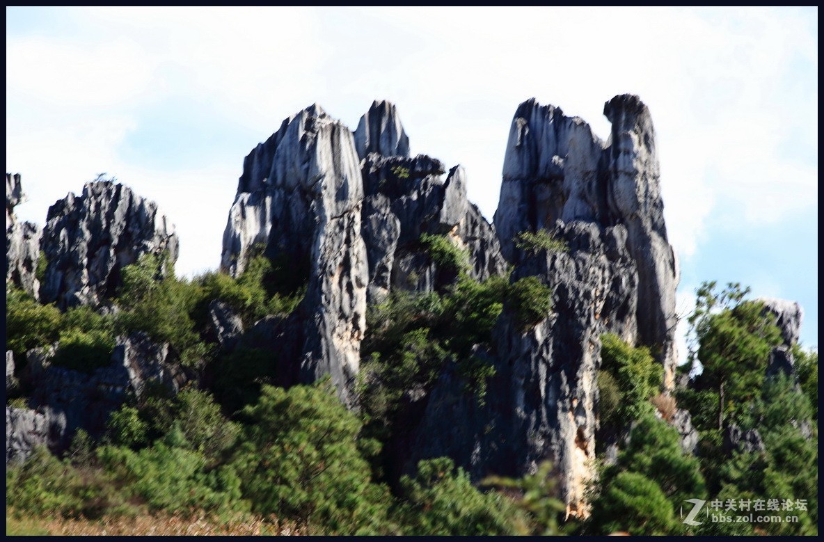 不一样的石林--2