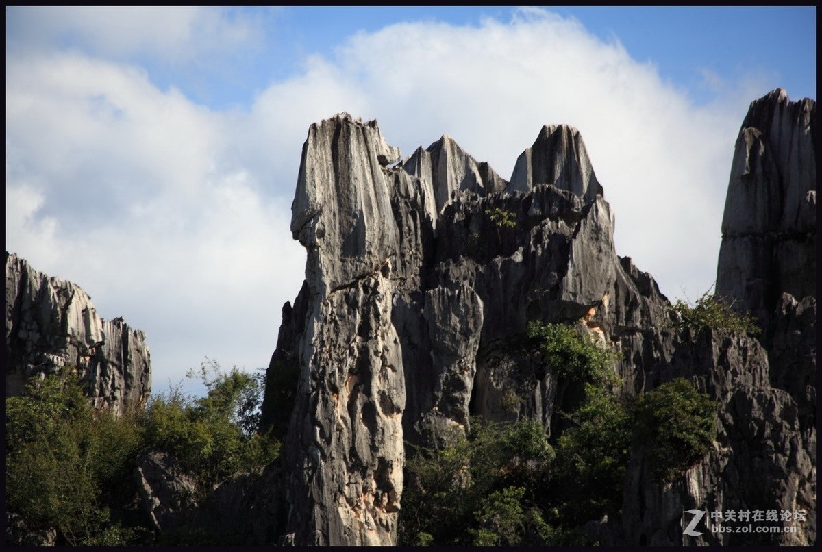 不一样的石林--2