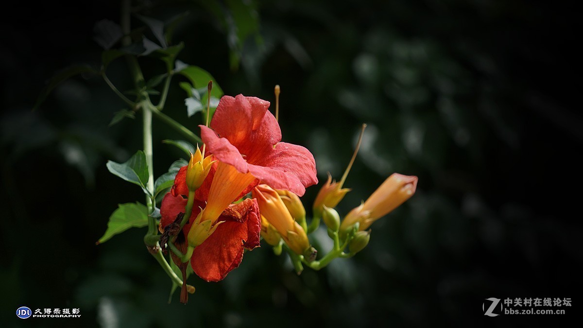 #版主坐堂#小五星空(中国)2018年六月精品荟萃