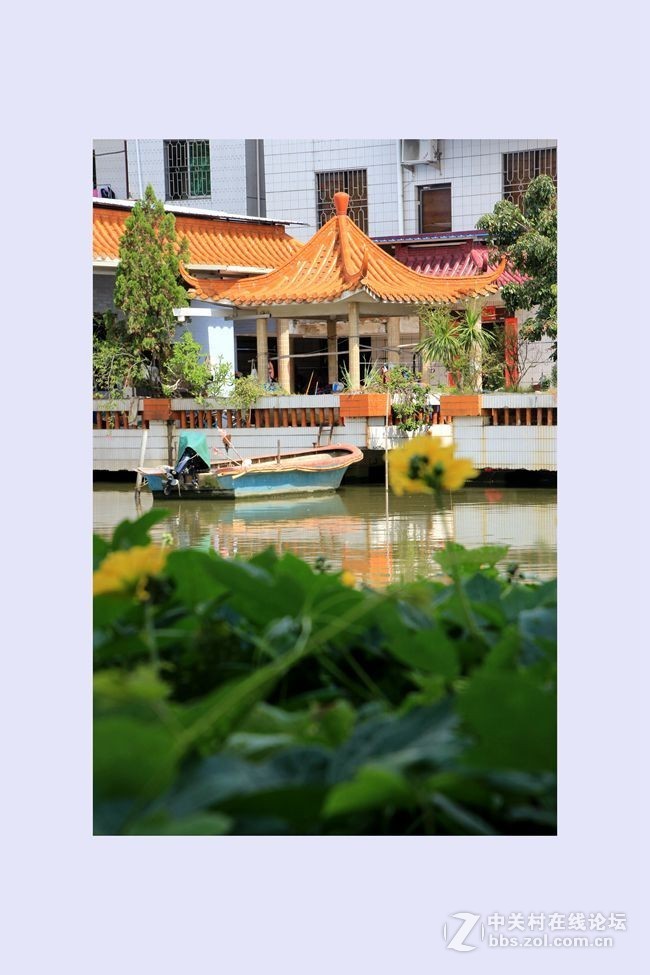 珠三角美丽水乡