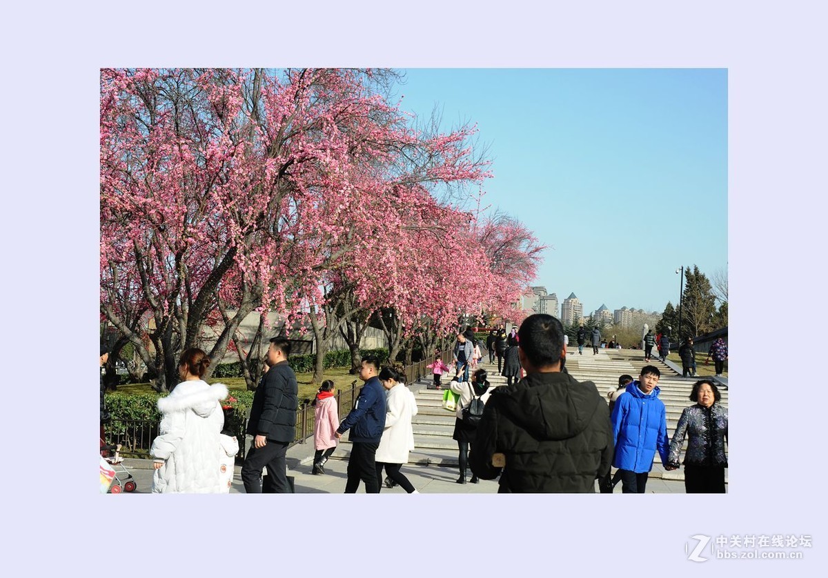 欢天喜地过大年