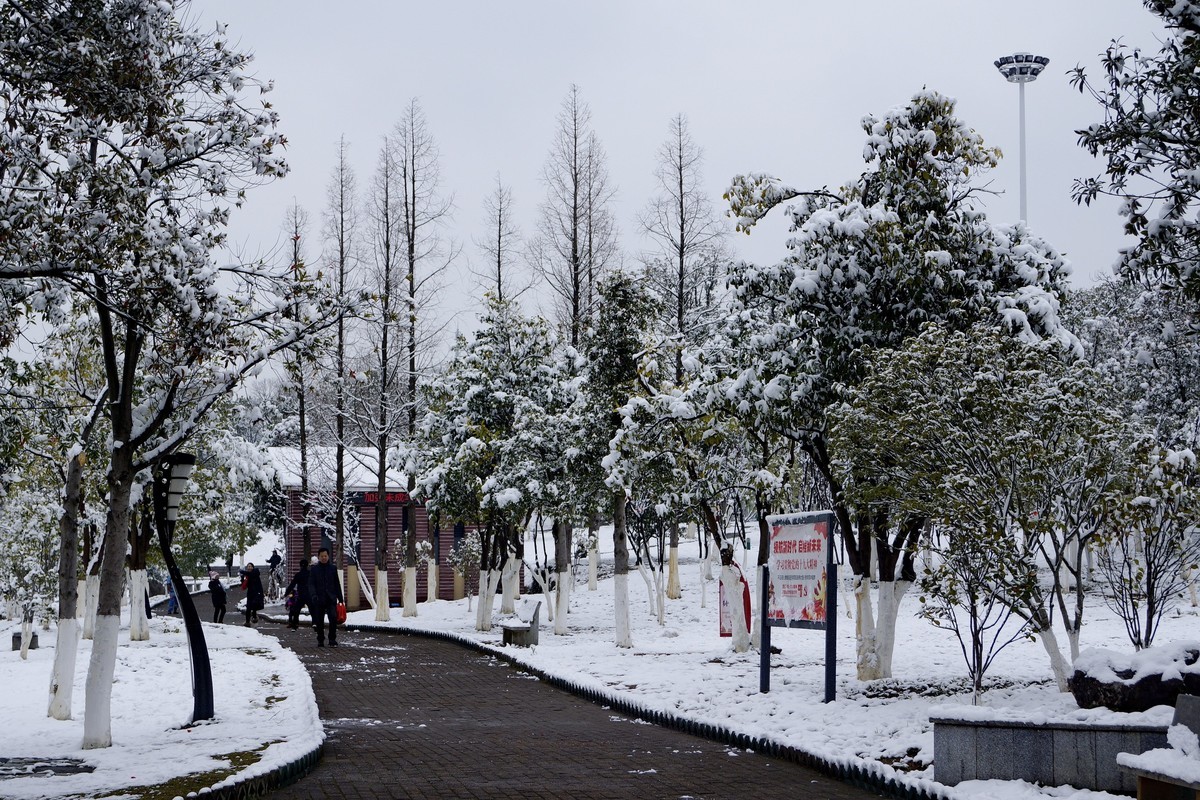〖 2018年岁末一场雪 〗祝贺好友石松上岗版主