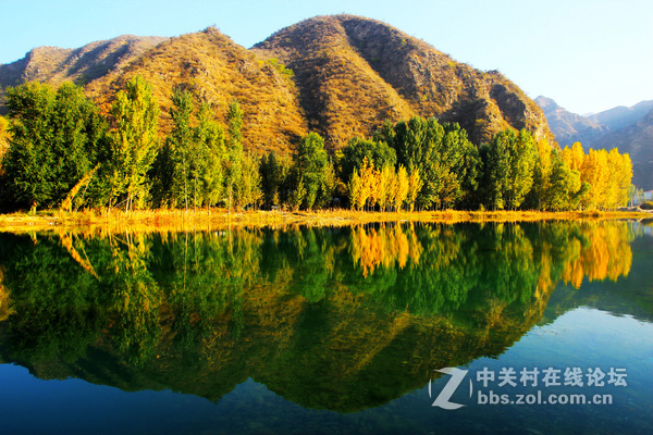 求问这两张照片是用了什么技法拍摄的，为什么效果这么感人？