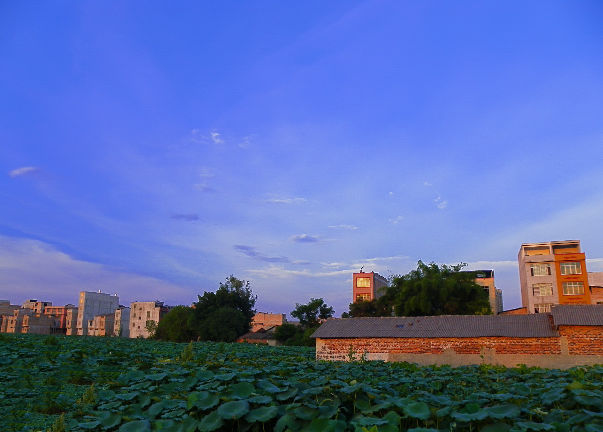 小城周邊的夏日田園