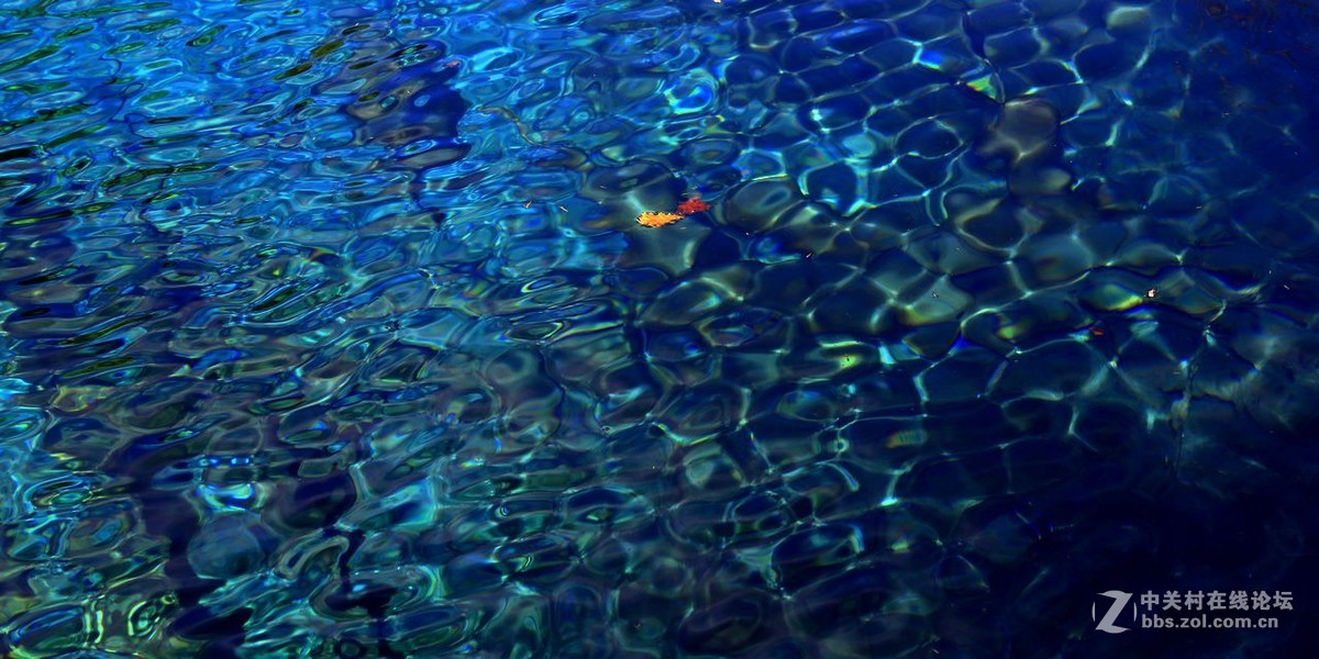 眼睛想旅行：九寨沟（2）