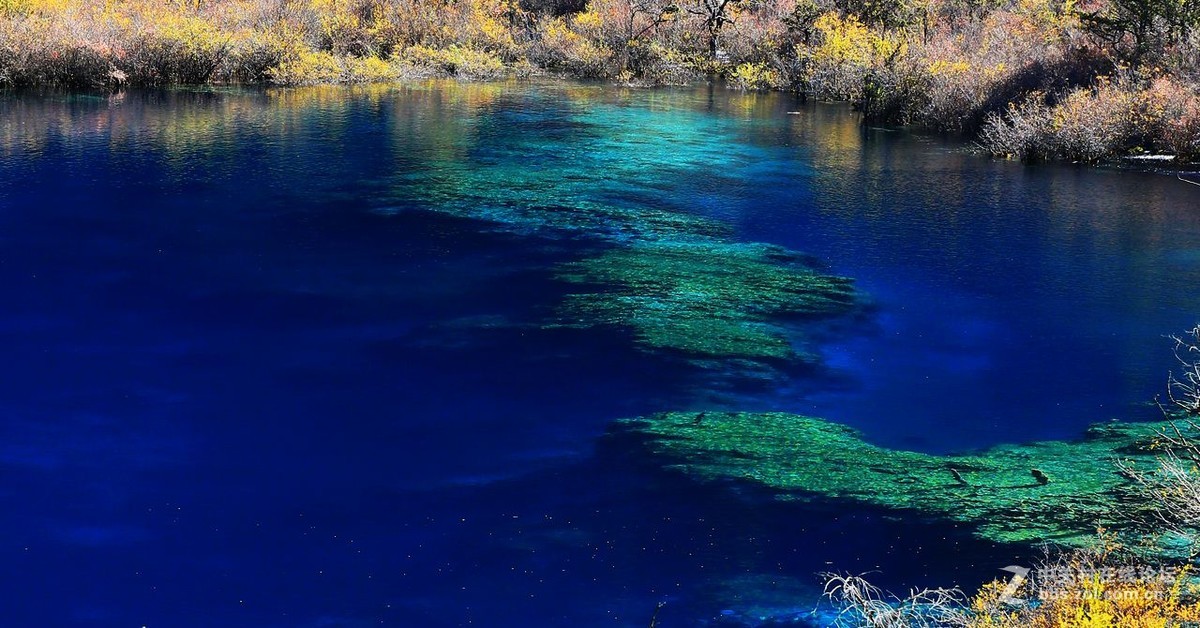 眼睛想旅行：九寨沟（2）
