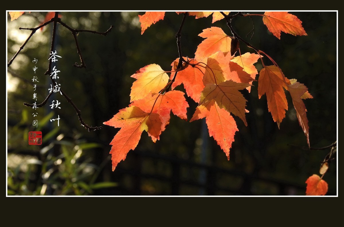 ＃版主坐堂＃2016年10月6D星空(中国)精华贴汇集